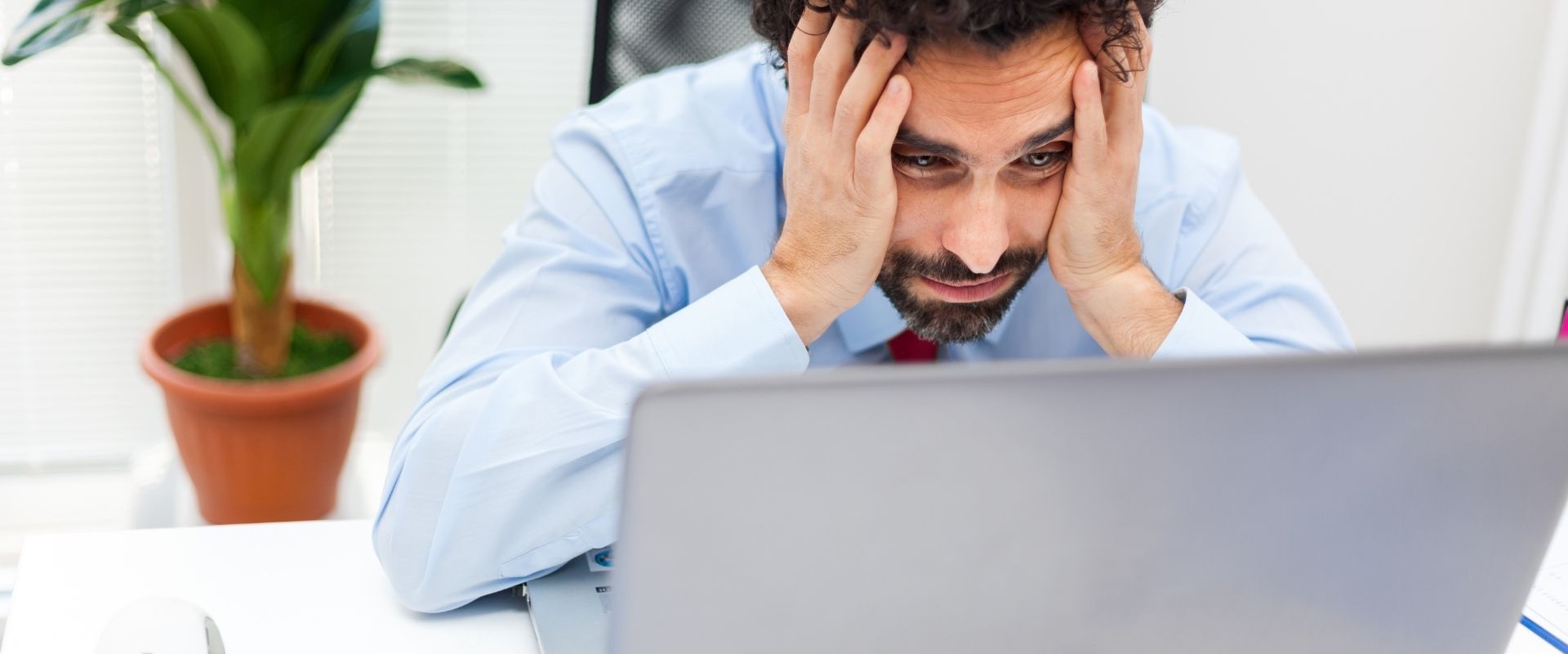 What should you do if you receive or open a scam email?