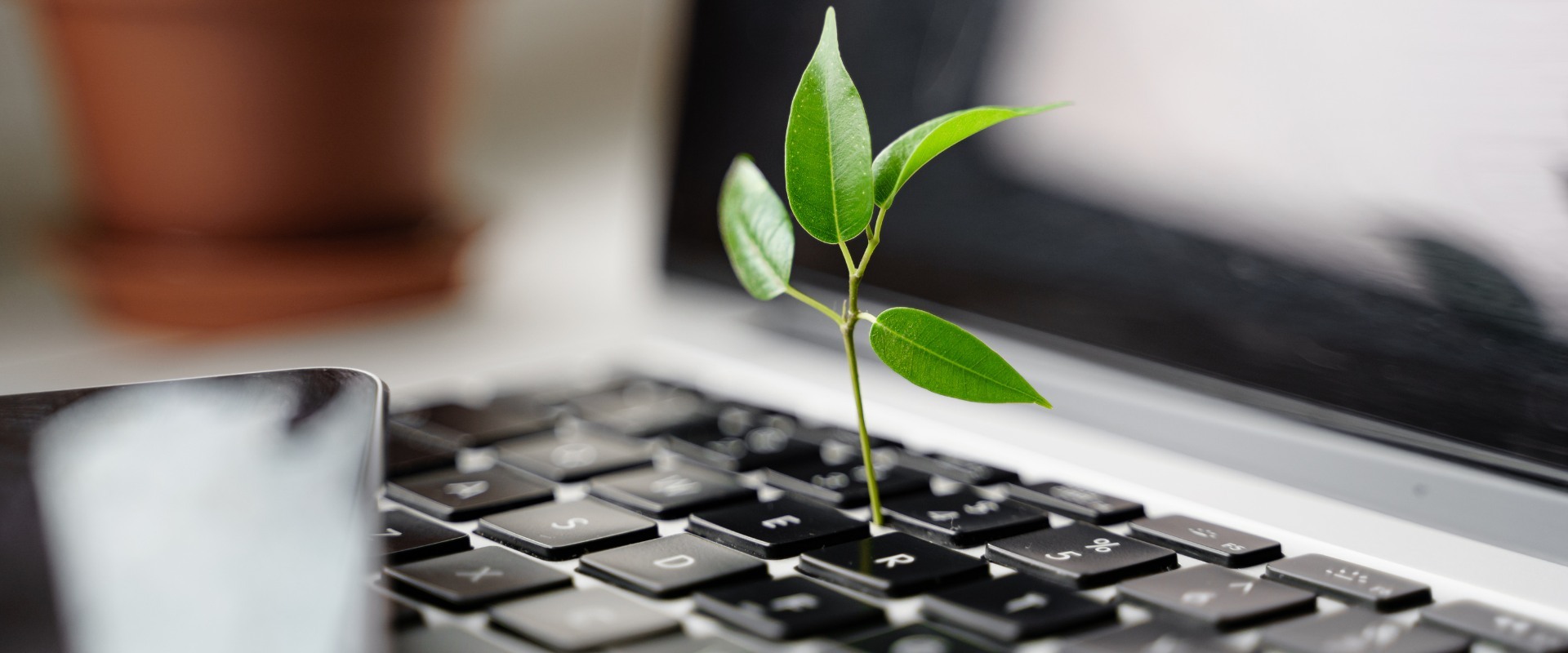 The benefits of managed IT services for sustainable IT practices